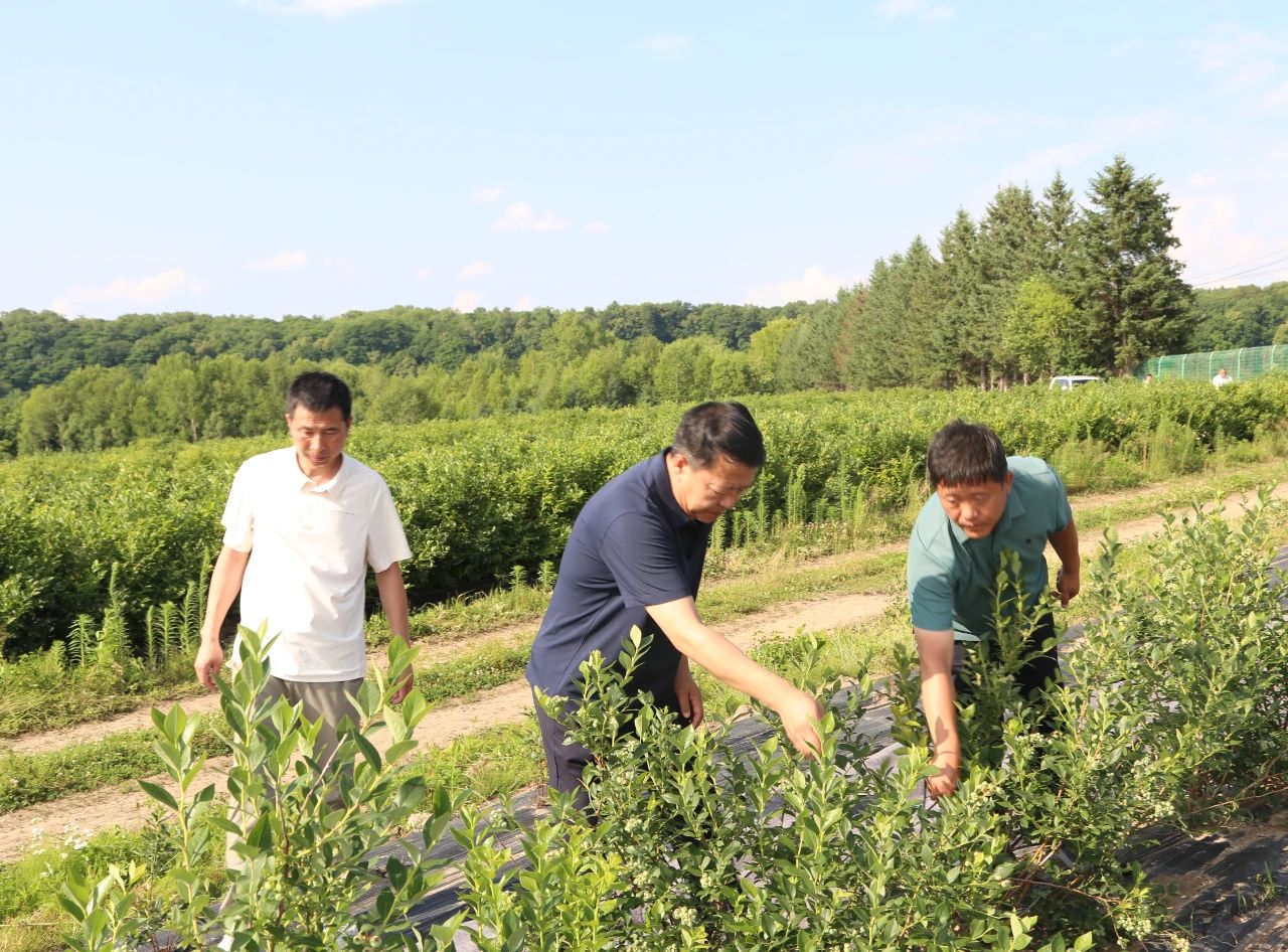 1752109266633919.jpg 微信圖片_20250710085943.jpg