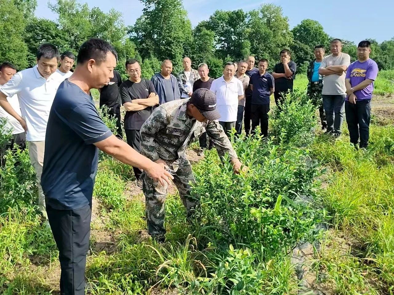 1752457918952775.jpg 微信圖片_20250714095022.jpg